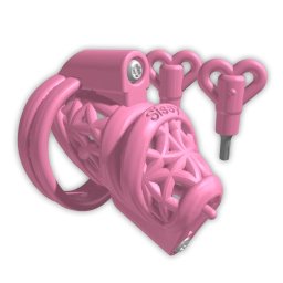 micro chastity cage